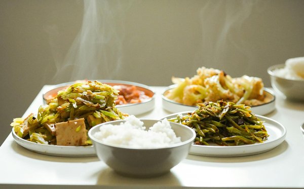 Future-Proof Your Pet's Well-Being: Essential Health Tips for 2024 and Beyond