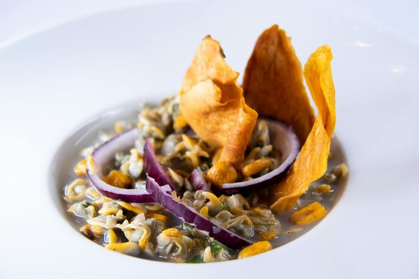 Discover the Perfect Trench Coat for Cozy and Stylish Rainy Commutes in the UK